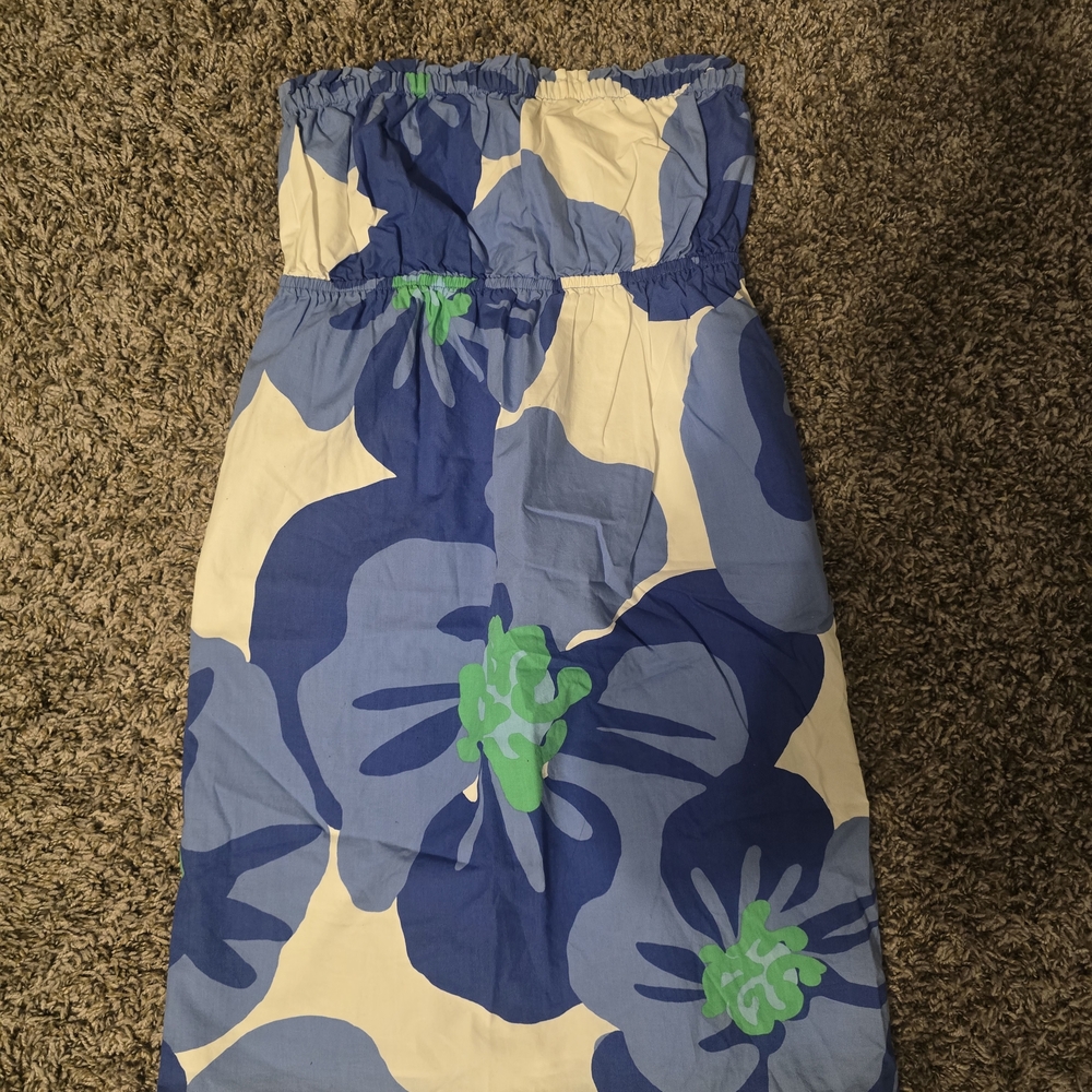 Lilly Pulitzer Blue and Cream Floral Kids Dress